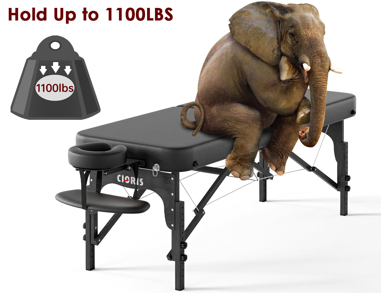 CLORIS 84" Professional Massage Table Portable Reinforced Wooden Leg 2 Folding Lightweight Spa Salon Tattoo Massage Bed Height Adjustable Hold Up to 1100LBS with Carrying Bag