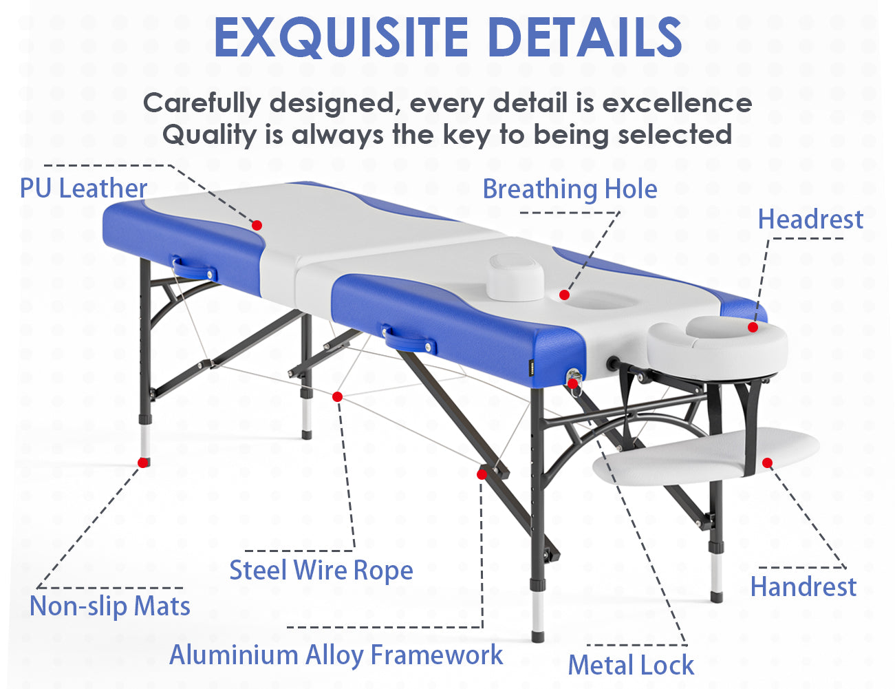 CLORIS 84" Lightweight 2-Section Massage Table Portable Aluminium Leg with Carrying Bag