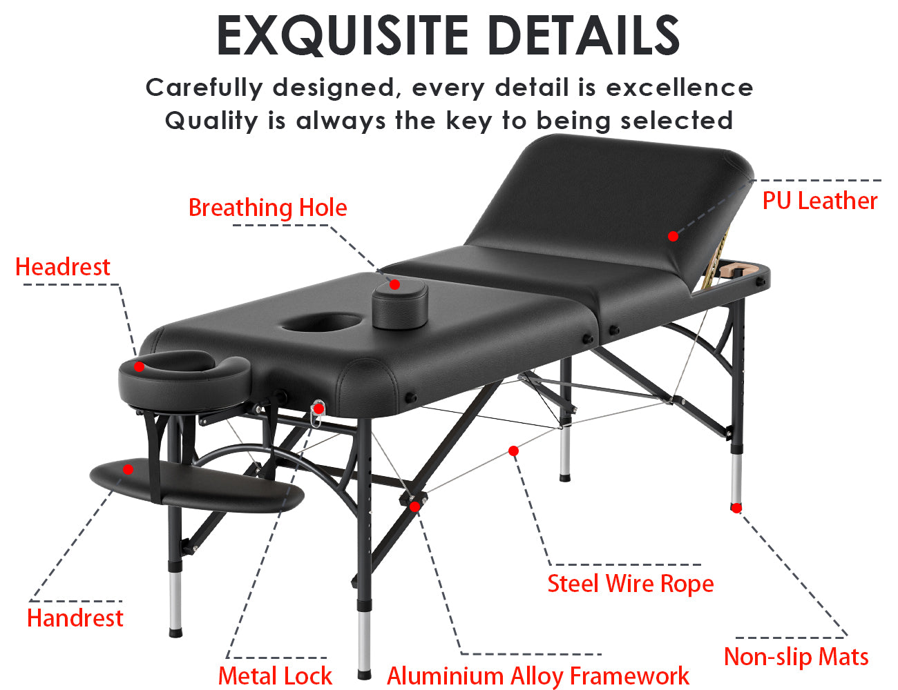 CLORIS 84" Professional 3-Section Massage Table Aluminium Leg with Carrying Bag