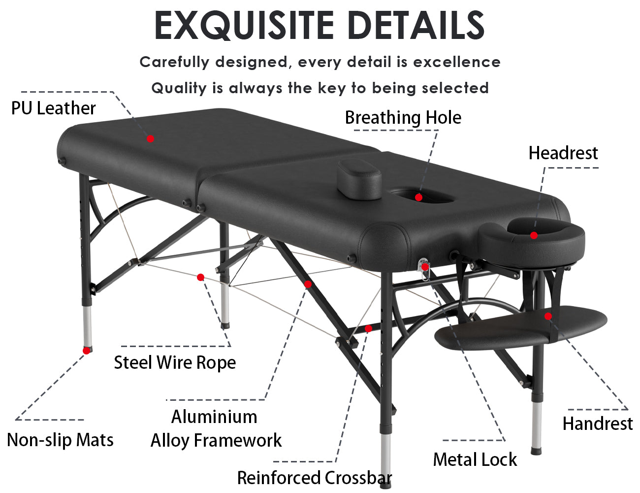 CLORIS 84" Professional 2-Section Massage Table Aluminium Leg with Carrying Bag